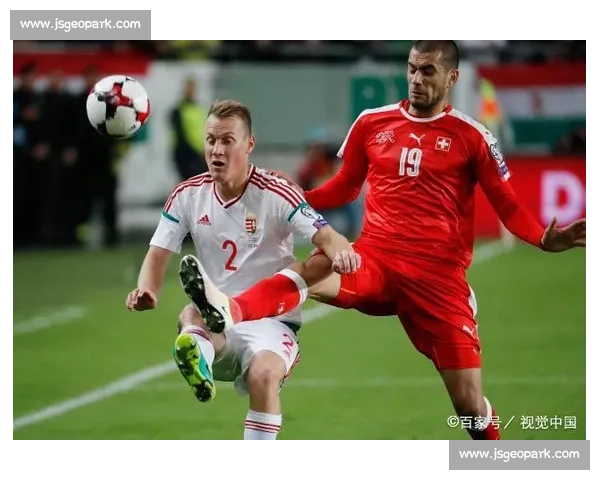 匈牙利vs冰岛球网焦点对决解析两队战术与胜负走势前瞻全面预测