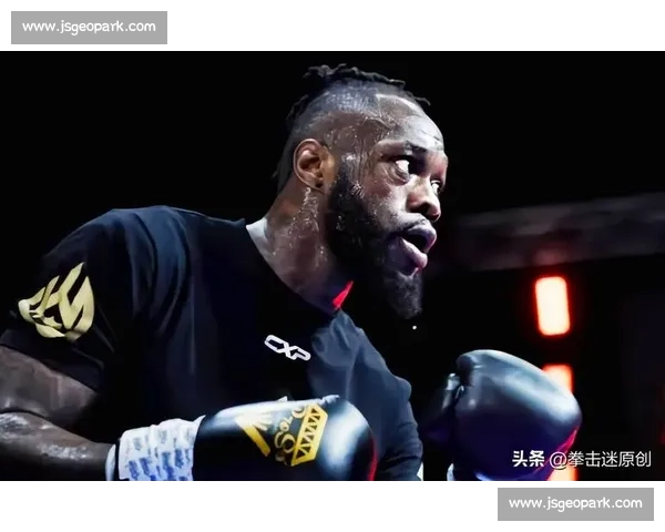 波维特金与维尔德世纪对决 谁将成为拳坛王者的继承人