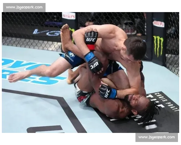 UFC小菊对决锤子巅峰之战技术风格与胜负前瞻解析全面深度观察